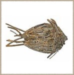 DIY Sea Wood Art에 있는 DIY님의 핀