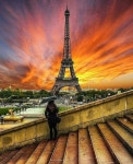 Eiffel Tower | 여행