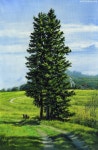 [유화 풍경화 / 수강생 작] 스프러스 나무와 길이 있는 들판 | 유화, 한국의 미술