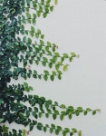 Pin on 텍스타일 수업용