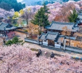 역사에 있는 경렬 박님의 핀 | 도시 사진, 자연 사진, 한국 정원