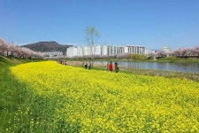 순천 내 고향 마음의 고향에 있는 Jason Oh님의 핀