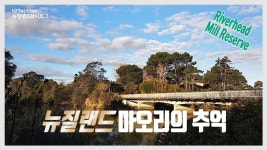 마오리 청년의 그리운 고향 리버헤드 Riverhead Mill Reserve [뉴질랜드 이민생활 브이로그] #riverhead | New zealand, Travel... 