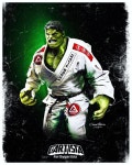Pin de ì í em 무술 | Artes marciais, Jiu jitsu brasileiro, Artes marciais mistas