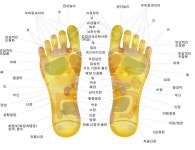 발관리_발반사구의 위치 - 2020 | 놀라운 자연, 건강관리, 건강 팁