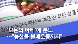 보은의 아베에 분노…농산물 불매운동까지 (2019.08.29/뉴스데스크/MBC) - YouTube | 돈, 한국