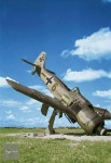 Fw 190A-8, Melsbroek, Belgium. Works No. 175140, 6 + – (Brown outlined in black). Burnt and looted. September/October 1944... 