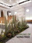 송트리 Songtree | 실내정원, 작은 안뜰 정원, 조경