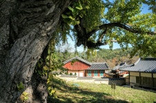 김천 섬계서원 | 사진