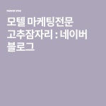 모텔 마케팅전문 고추잠자리 : 네이버 블로그 | 블로그