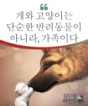 개와 고양이는 단순한 반려동물이 아니라, 가족이다 | 애완동물, 사랑은, 단순한