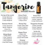 Image result for tangerine diffuser blend | 아로마테라피