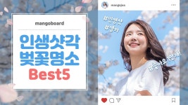 #봄디자인 / #벚꽃디자인 / #봄 / #벚꽃 / #벚꽃명소 / #봄유튜브썸네일 / #콘텐츠동영상 / #유튜브썸네일 / #유튜브템플릿 / #유튜브디자인 / #망고보드... 