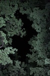 nighswander:  Foliage #2, from Dark Country Road, Gilmanton, New Hampshire | 자연