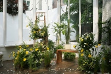 Plusjun Studios - 2020 | 스튜디오, 총