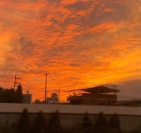 자료에 있는 예원 최님의 핀 - 2023 | 하늘, 배경