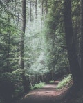 woodlands wanderlust landscape travel sky beach hike paris holiday romatic bucketlist flowers adventure europe... 