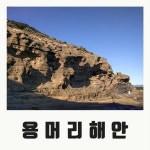 제주도 용머리해안 입장료와 입장시간 | 관광, 여행, 용