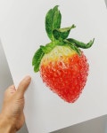 좋아요 681개, 댓글 13개 - Instagram의 보태니컬아트 스페이스림 space-lim(@artspacelim)님: 색연필로 그린 딸기 artwork... 
