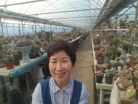 거제 다육이 농장에 있는 장은옥님의 핀