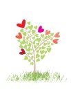사랑나무 _love tree(이미지 포함)