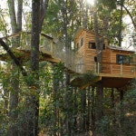 Florida Getaway Treehouse(이미지 포함) | 트리하우스, 인테리어