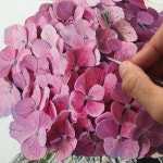 보타니컬에 있는 이태순님의 핀 | 수국, 꽃그림, 수채화 꽃