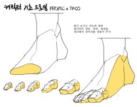 Pin by 상우 류 on 기초드로잉 | Human anatomy drawing, Anatomy tutorial, Anatomy art