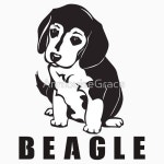BEAGLE LOVER BEAGLE DOGS PET, PET T-SHIRT WHITE | 강아지 그림, 팝아트, 강아지