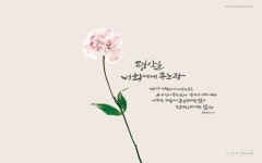 [말씀 배경화면] 평안을 (요한복음 14장 27절)(이미지 포함) | 배경화면, 블로그