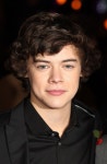 Pin by 매이호우 on 해리 스타일스 | Harry styles hair, Hair evolution, Harry styles