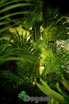 artificial landscape 실내조경 , 인조실내조경 , artificial  indoor landscape , planterior - 2020