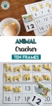 Academy Animal themed math activity for your preschool, pre-k, and kindergarten kid. #toddler #toddleractivity #easy… | 동물