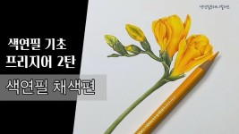 색연필기초/프리지어2탄/색연필 채색편/색연필 보태니컬아트 기초/colored pencils botanical art - 2023 | 색연필, 색연필 그림, 꽃그림