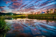 Taehwagang Grand Park (태화강 대공원) - e sua rica floresta de bambu | Park, Nature, Travel