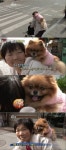 [동물농장] 할머니에게 하루종일 업혀다니는 강아지 포메 - 인스티즈(instiz, 音思提资) 인티포털