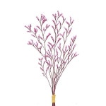 수채화 illustrator에 있는 핀