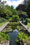 Awesome 48 Gorgeous Backyard Ponds Water Garden Landscaping Ideas. More at https://trendhomy.com/2018/02/28/48-gorgeous-backyard... 