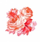 #motif #flower #꽃 #모티프 | 꽃