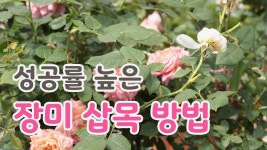 Pin on 정원과영농 텃밭관리