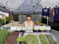 Pin by 진경 송 on 스마트팜 | Microgreens, City farm, Gourmet