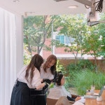 감사헤어(ㄱㅅㅎㅇ) | 여전히 더운 날씨에도 잊지않고 찾아주시는 고객님들께 늘 감사드려요 🥰💛💚 . . 저희랑 헤어고민도 나누시고 이런저런 이야기 나누며...