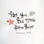 아름다운 가을을 만끽하며~~ | 아름다운