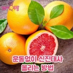 생활의 여왕님의 스토리 - 2020 | 과일, 자몽, 음식