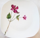 Pin de 010-5091-3697 en 포슬린 | Porcelana pintada, Porcelana, Pintar