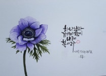 경숙 오님이 아네모네에 올린 아이디어 | 아네모네