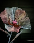 Pin by 영미 김 on Бумага | Handmade flowers paper, Giant paper flowers, Paper flowers