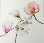 Pin de choi en 보타니컬아트 | Dibujos, Dibujos cool, Cool