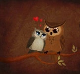 Épinglé par 소영 주 sur 양모 | Hibou dessin, Petites chouettes, Chouette