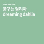 꿈꾸는 달리아 dreaming dahlia | 블로그